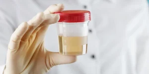 fake urine test